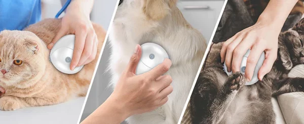 Cordless Head Massager: Relief & Relaxation at Your Fingertips - Image 5